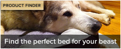 Which bed for your beast?